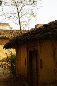 shruti-singh-PrcEjrzxzNQ-unsplash